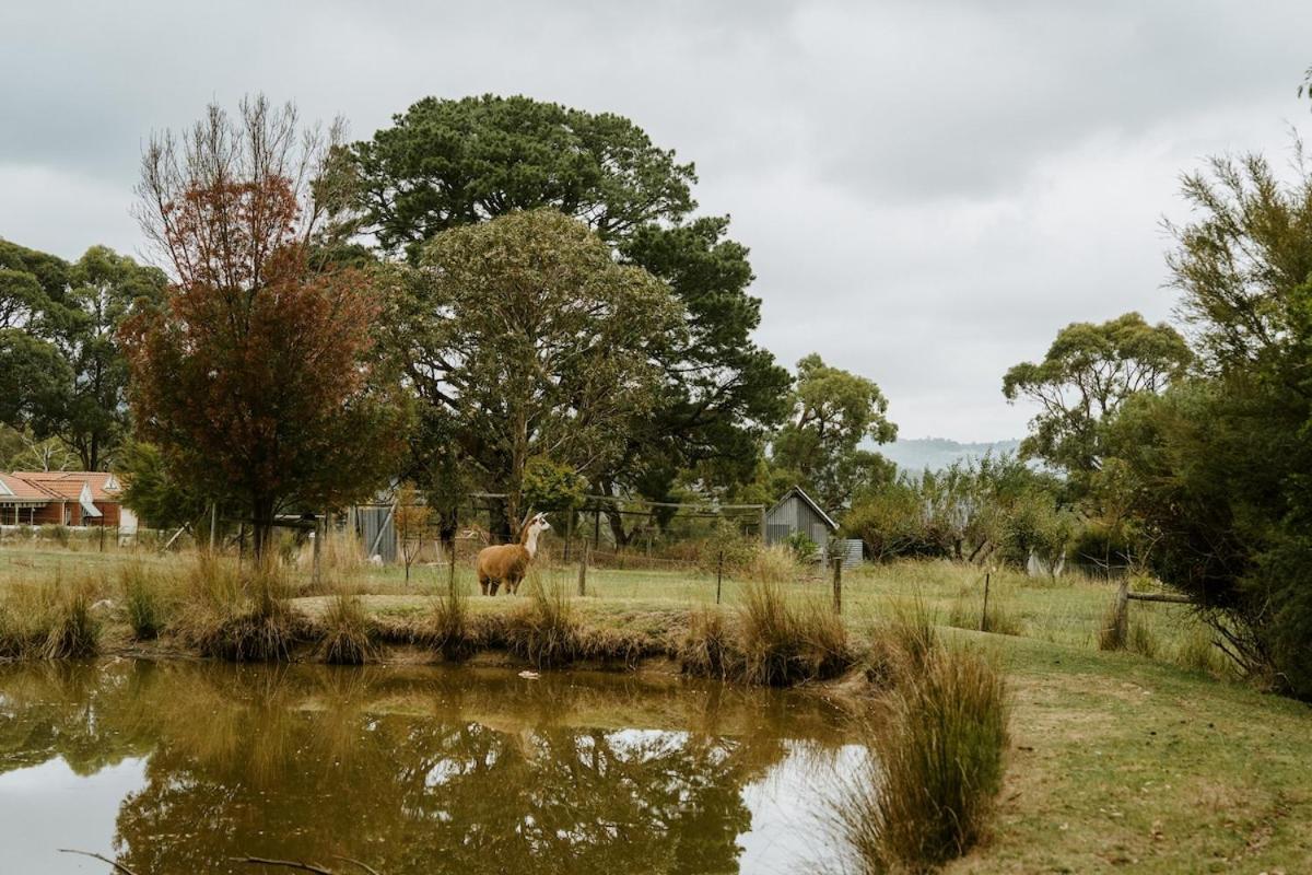 The Temple - Country Farm Retreat Villa Launching Place Buitenkant foto