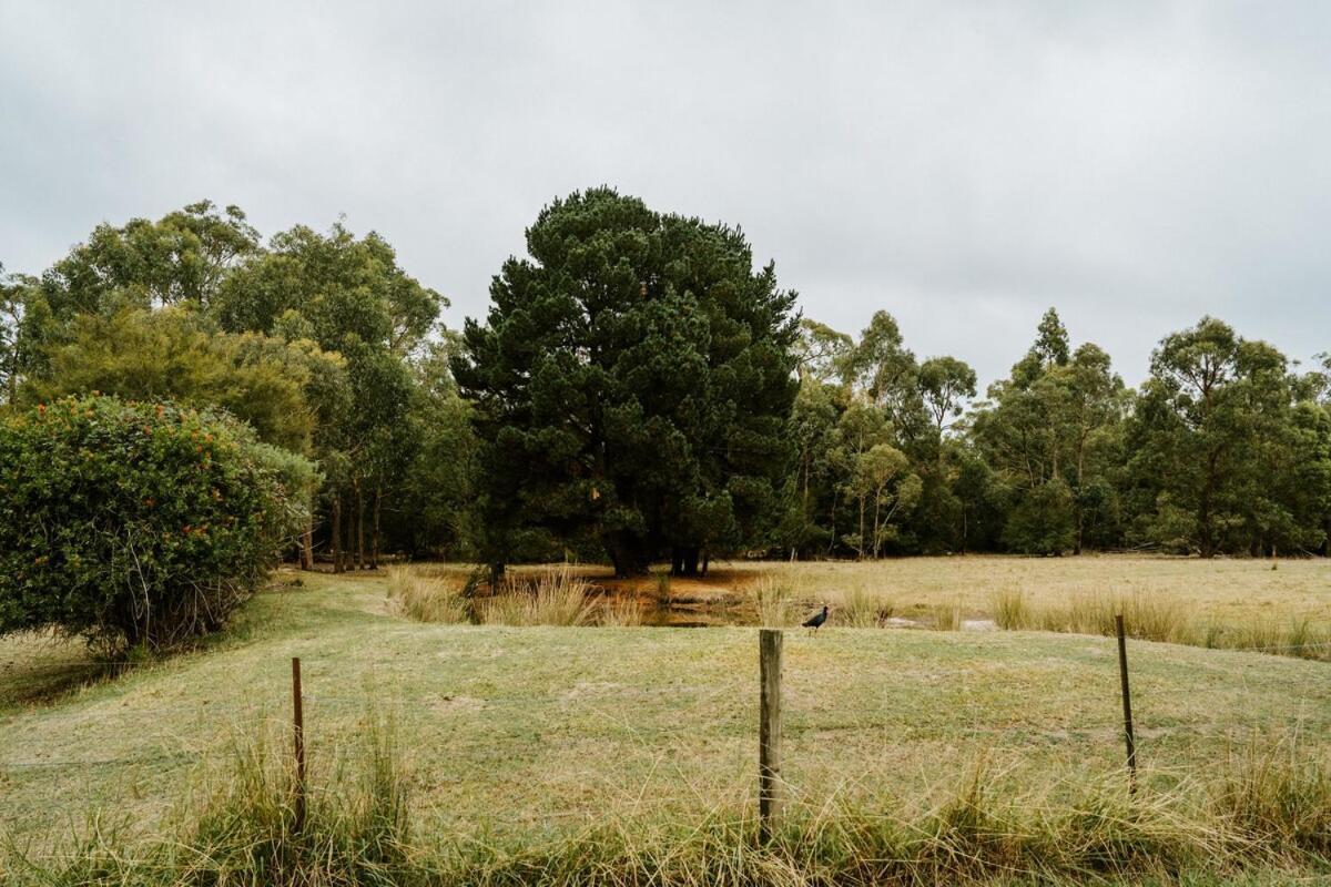 The Temple - Country Farm Retreat Villa Launching Place Buitenkant foto